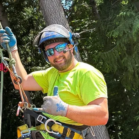 Alex Moon, co owner, roped in high in a fir in his helmet and harness