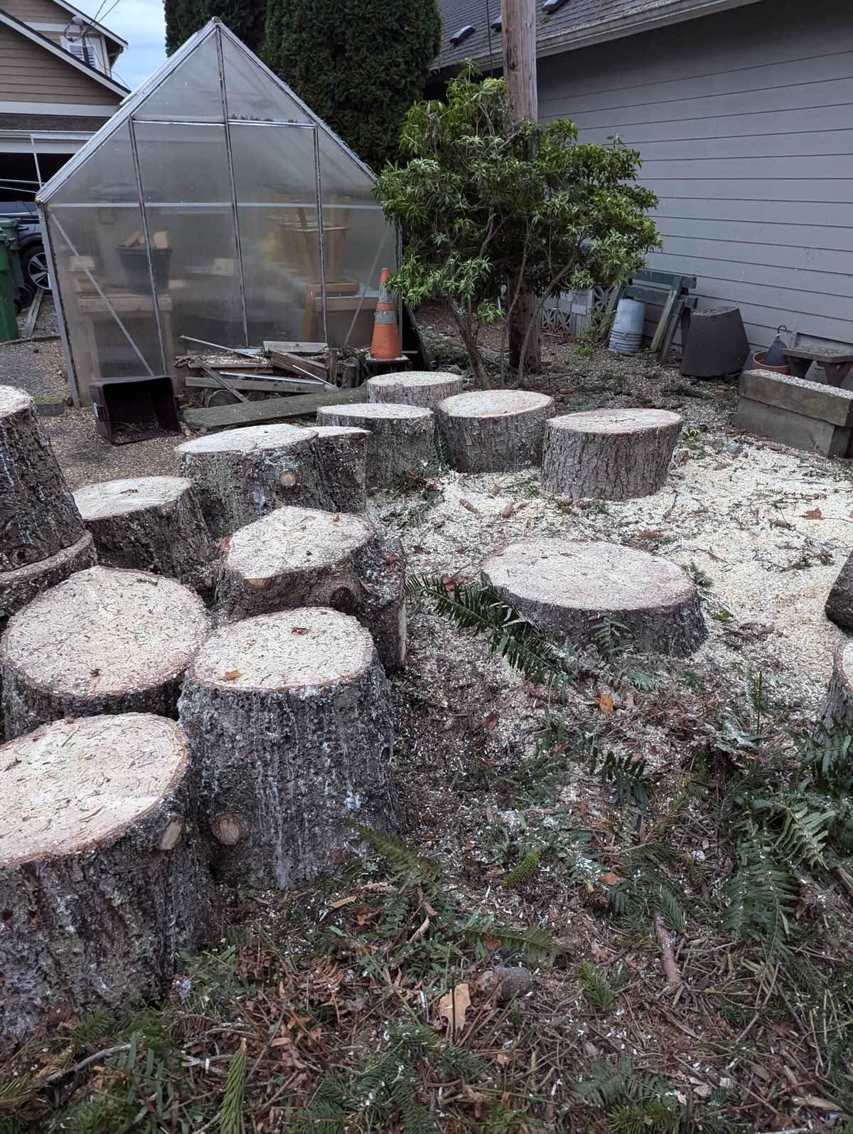 Cut material stacked on a lawn partway through a job